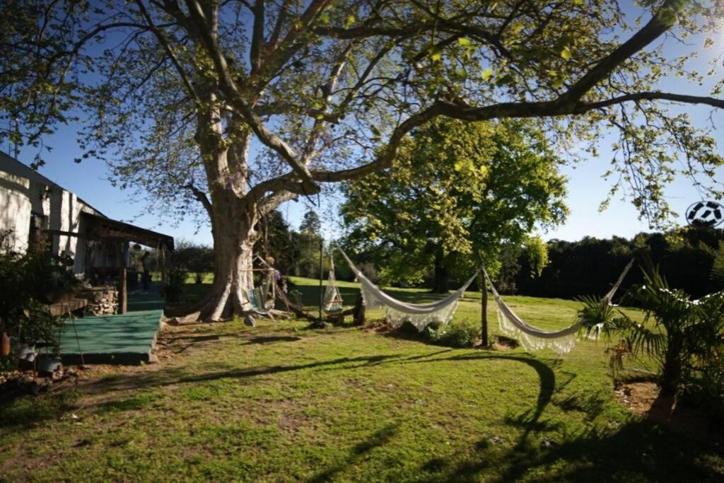 La Casa Del Bosque Casa de Férias Carmelo
