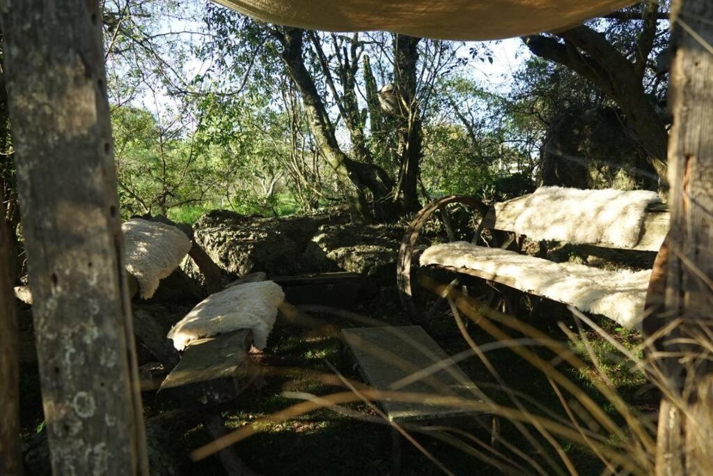 Casa de Férias La Casa Del Bosque Carmelo